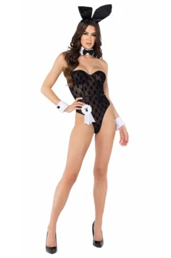 Roma Costume Sheer Playboy Bunny Costume -Sexy Halloween Costumes Sales unnamed file 1845