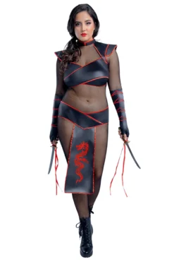 Starline Plus Alluring Assassin Costume