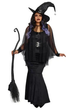 Dreamgirl Plus Size Bewitching Beauty Costume