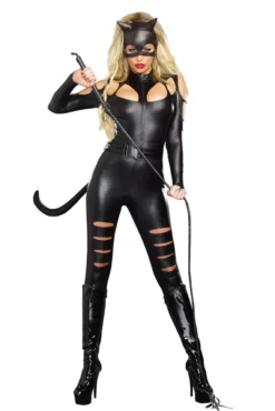Dreamgirl Cat Fight Costume
