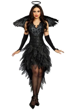 Dreamgirl Angel Of Darkness Costume