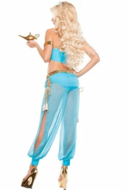 Starline Costume Sexy Arabian Nights Costume -Sexy Halloween Costumes Sales unnamed file 6265